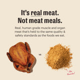 The Honest Kitchen Protein Plus Whole Food Clusters Grain Free Chicken Recipe Dry Dog Food