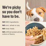 The Honest Kitchen Gourmet Whole Food Clusters Grain Free Lamb & Superfoods Recipe Dry Dog Food