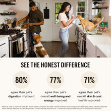 The Honest Kitchen Beef Recipe Dehydrated Dog Food 1.5 oz Single Serve Pack x 10