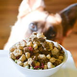 The Simple Food Project Synthetic-Free Freeze Dried Dog Food - Bison Recipe