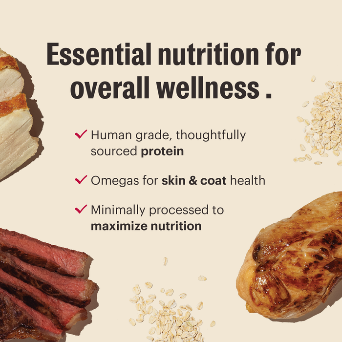 The Honest Kitchen Essentials Whole Food Clusters Whole Grain Chicken Recipe Dry Dog Food