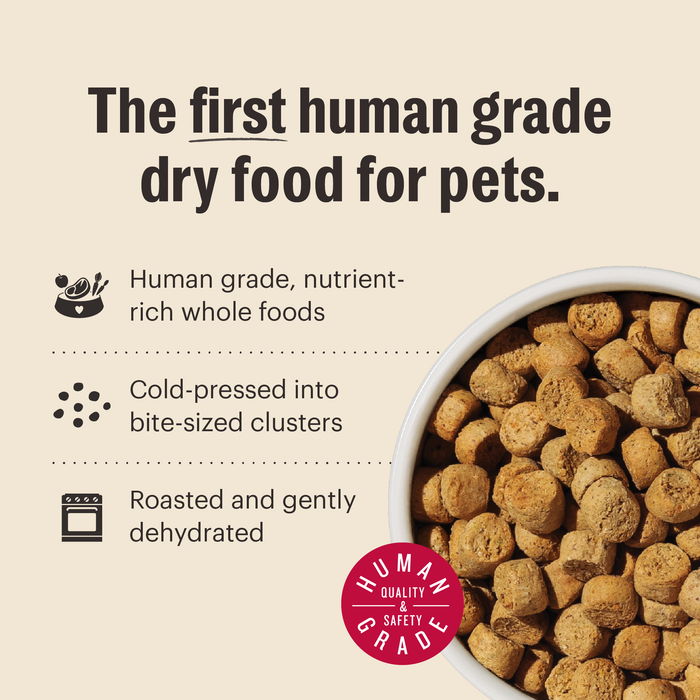 The Honest Kitchen Gourmet Whole Food Clusters Puppy Whole Grain Chicken & Superfoods Recipe Dry Dog Food