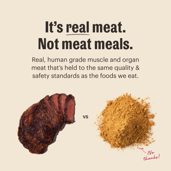 The Honest Kitchen Protein Plus Whole Food Clusters Grain Free Beef & Chicken Recipe Dry Dog Food