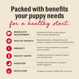 The Honest Kitchen Whole Grain Chicken, Oat & Salmon Puppy Recipe Dehydrated Dog Food