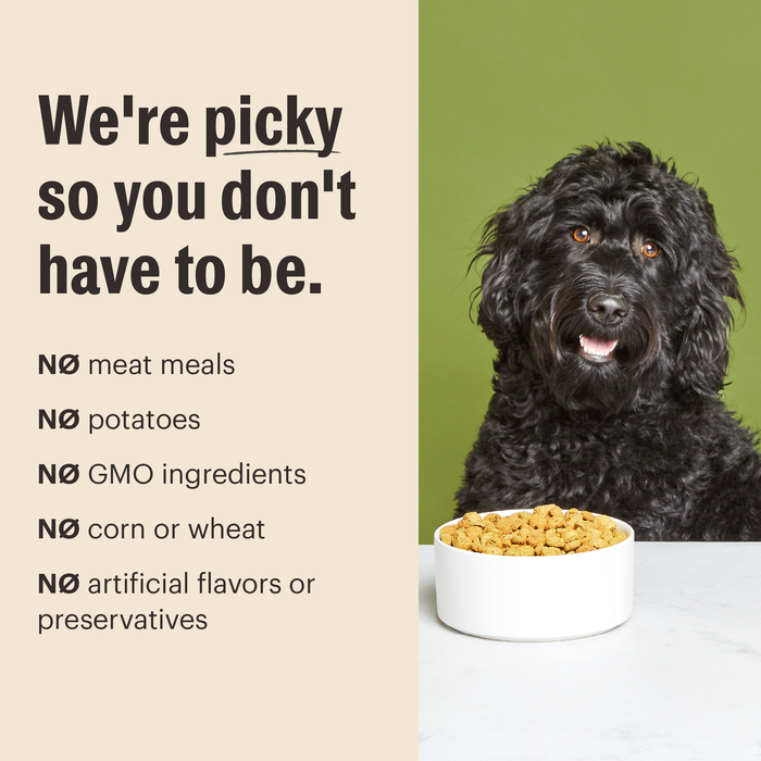 The Honest Kitchen Essentials Whole Food Clusters Whole Grain Turkey & Chicken Recipe Dry Dog Food