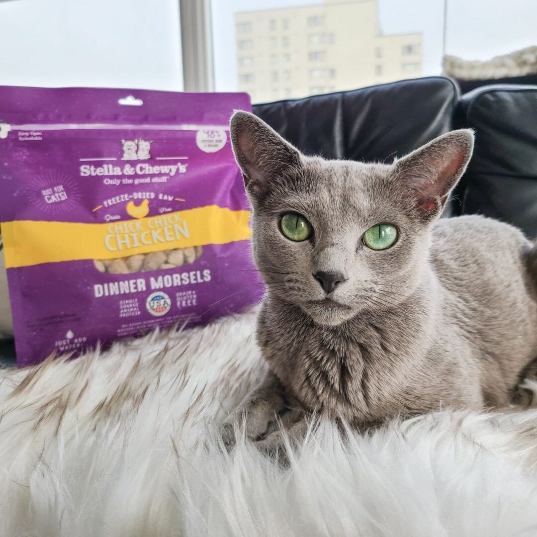 Stella & Chewy's Chick Chick Chicken Dinner Morsels Freeze Dried Cat Food