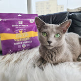Stella & Chewy's Chick Chick Chicken Dinner Morsels Freeze Dried Cat Food