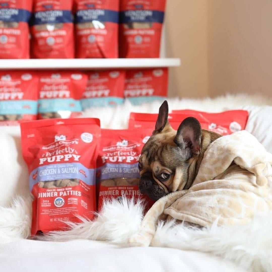 Stella & Chewy's Perfectly Puppy Chicken & Salmon Dinner Patties Freeze-Dried Dog Food