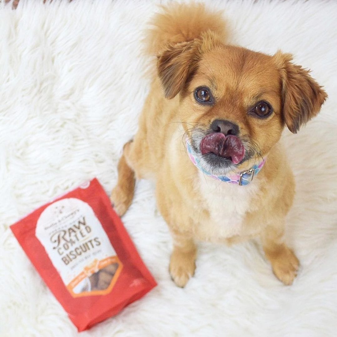 Stella & Chewy's Raw Coated Beef Biscuits For Dogs, 9oz