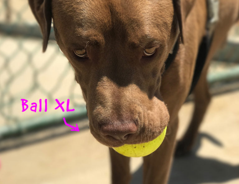 RuffDawg USA Indestructible Ball Dog Toy