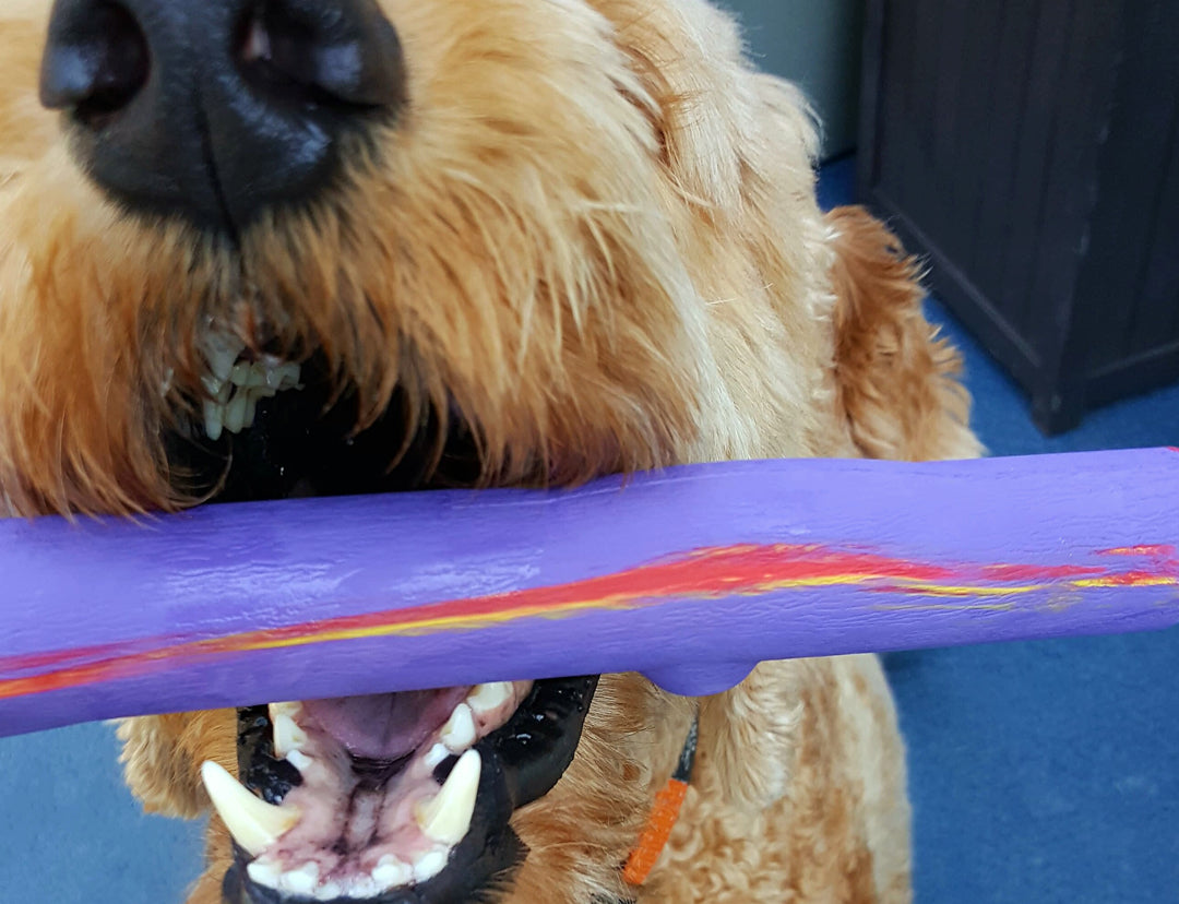 RuffDawg USA Rubber Retrieving Crunch Stick Dog Toy