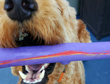 RuffDawg USA Rubber Retrieving Crunch Stick Dog Toy