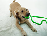RuffDawg USA Super Tug Rubber Tug Dog Toy