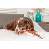 Natural Cravings USA Monster Bully Stick 12"