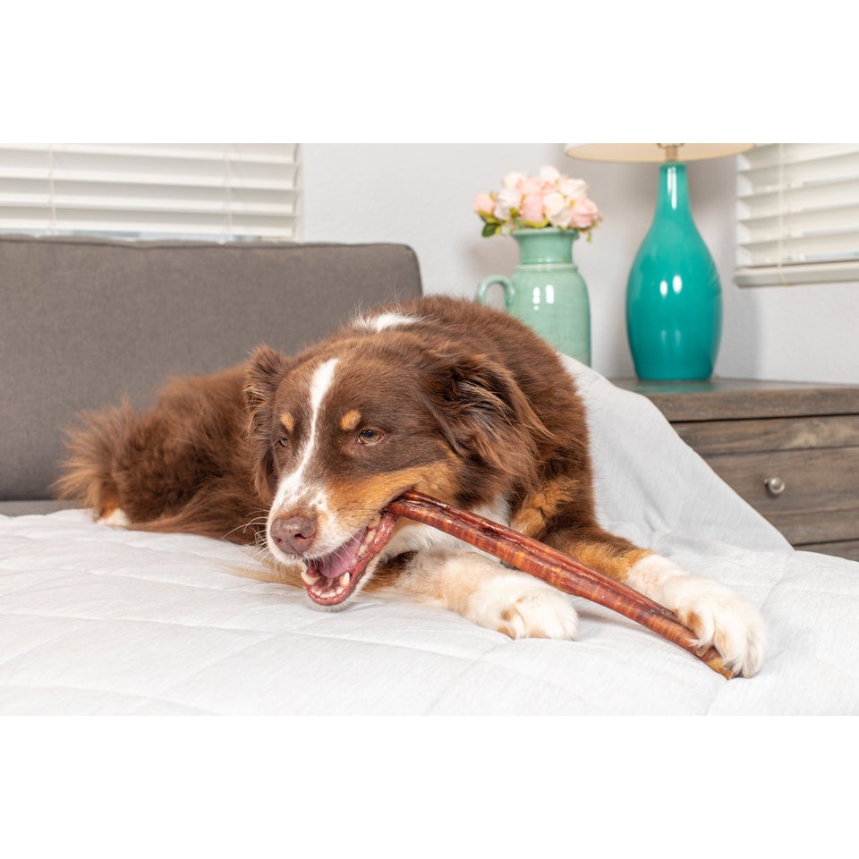 Natural Cravings USA Super Monster Bully Stick 12"
