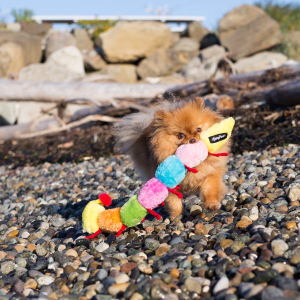ZippyPaws Squeaky Caterpillar Plush Dog Toy