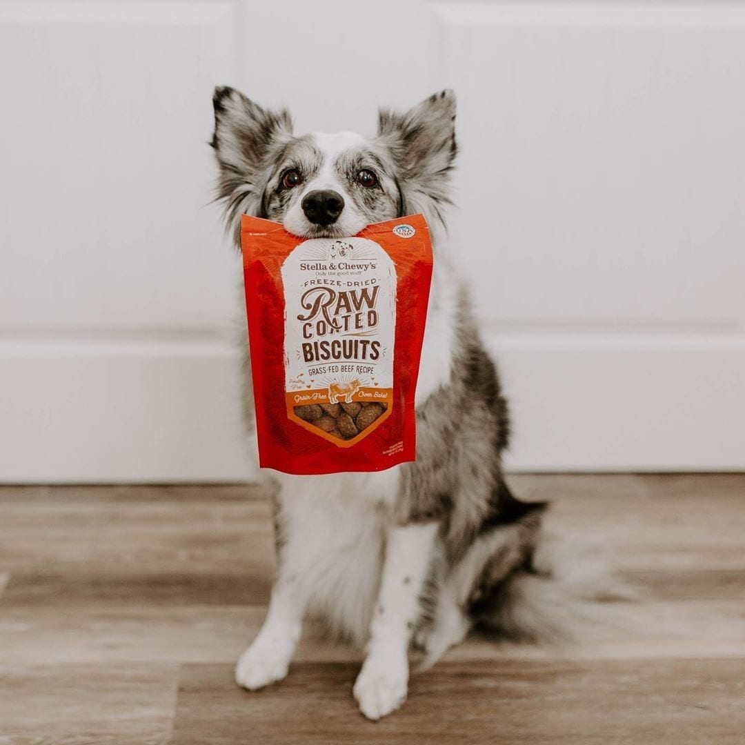 Stella & Chewy's Raw Coated Beef Biscuits For Dogs, 9oz