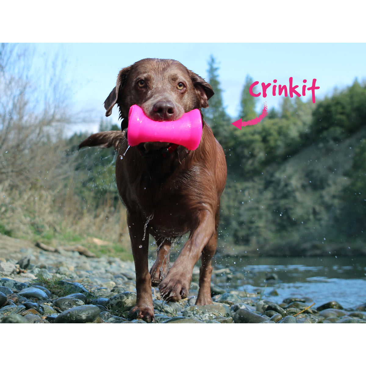 RuffDawg USA Crinkit Rubber Dog Toy