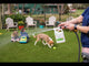Wondercide Natural Ready-to-Use Flea & Tick Yard & Garden Spray, 32oz