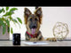 Redbarn Large Beef Filled Bone For Dogs