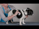 Chris Christensen Chalk Block Grooming Chalk For Dogs