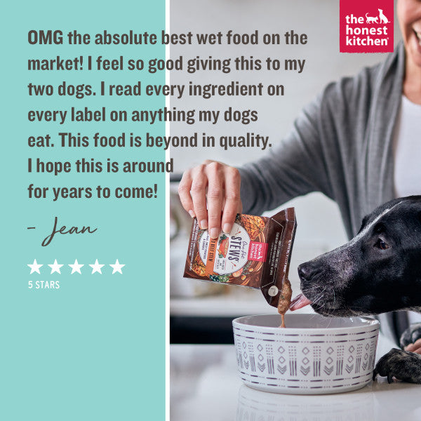 The Honest Kitchen One Pot Stews Slow Cooked Chicken Stew with Sweet Potato, Spinach and Apples Wet Dog Food, 6/10.5oz