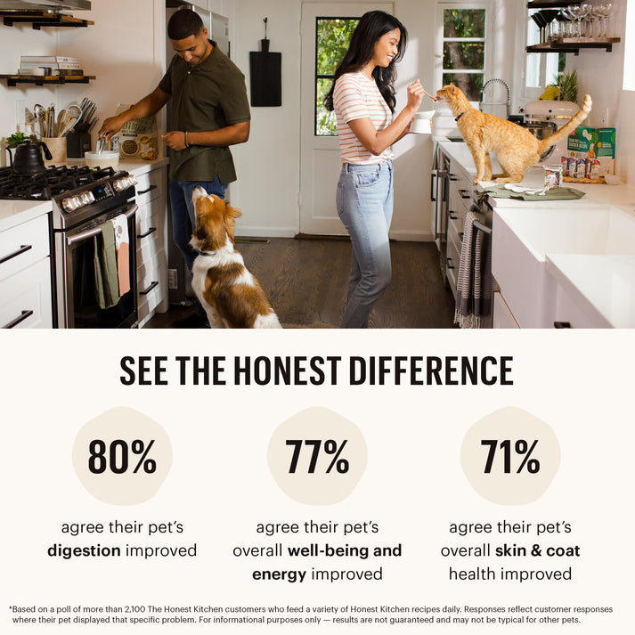 The Honest Kitchen Wholemade Whole Grain Beef & Salmon Recipe Dehydrated Dog Food