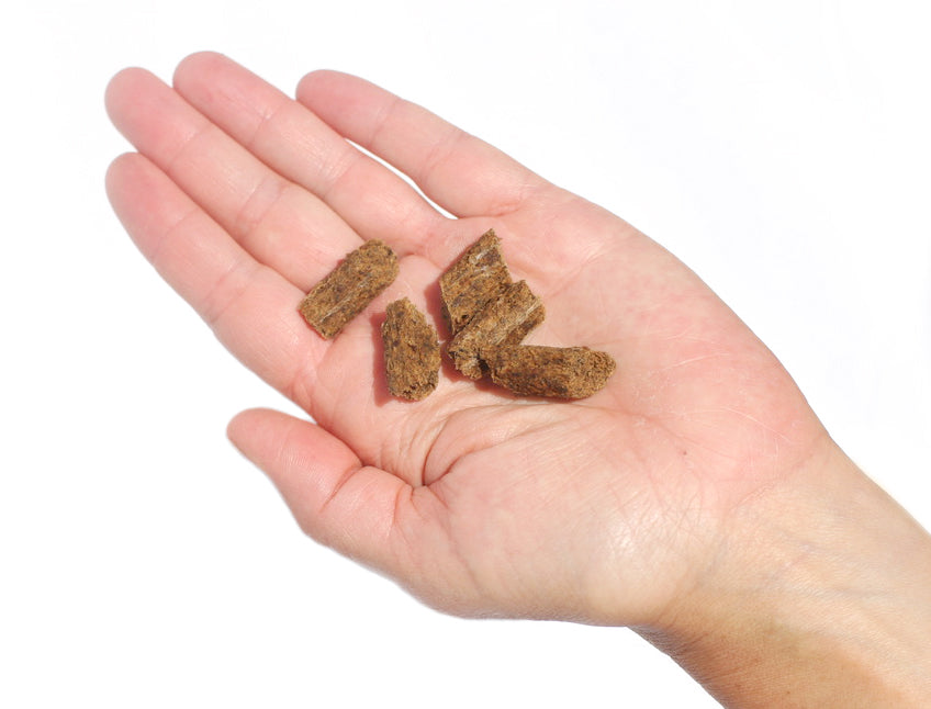 Plato Small Bites Organic Chicken Dog Treats