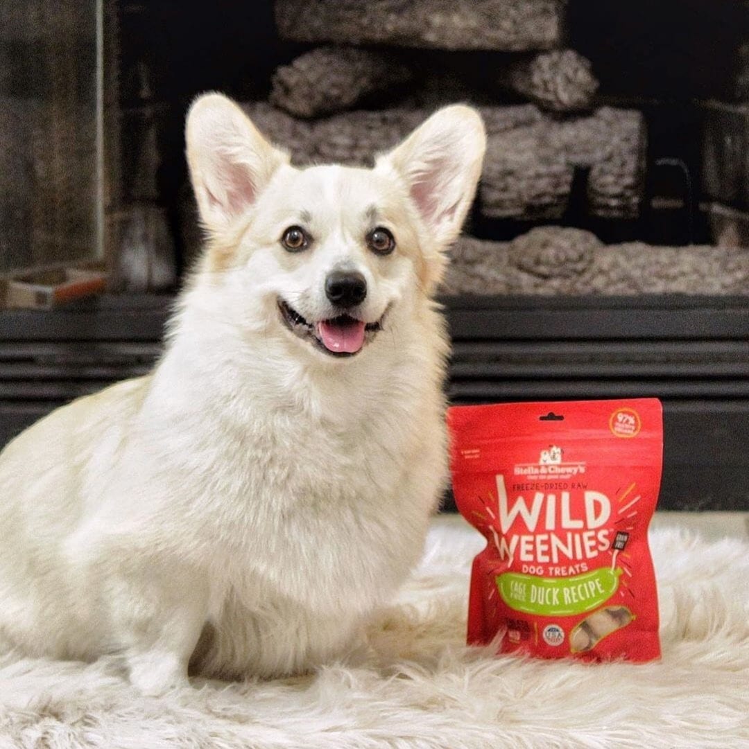 Stella & Chewy's Wild Weenies Duck Recipe Freeze Dried Dog Treats