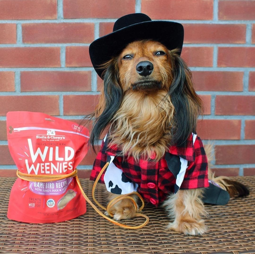 Stella & Chewy's Wild Weenies Game Bird Recipe Freeze Dried Dog Treats