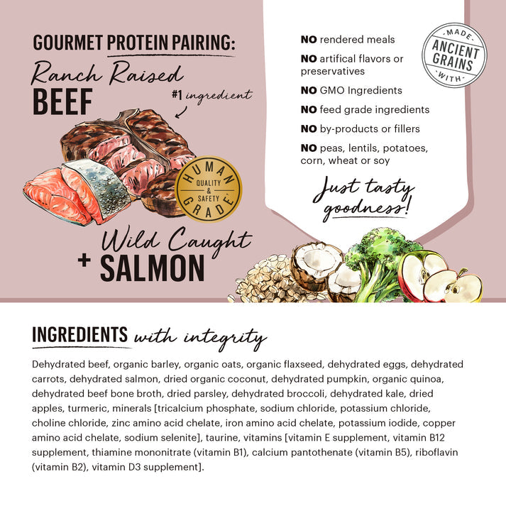 The Honest Kitchen Wholemade Whole Grain Beef & Salmon Recipe Dehydrated Dog Food